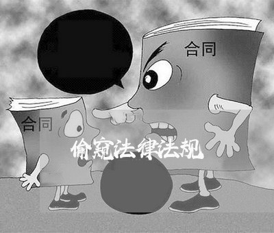 偷窥法律法规