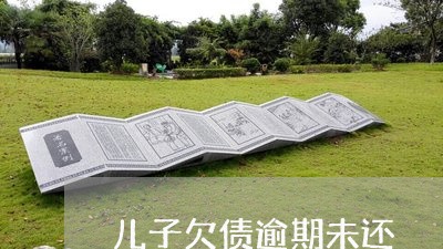 儿子欠债逾期未还