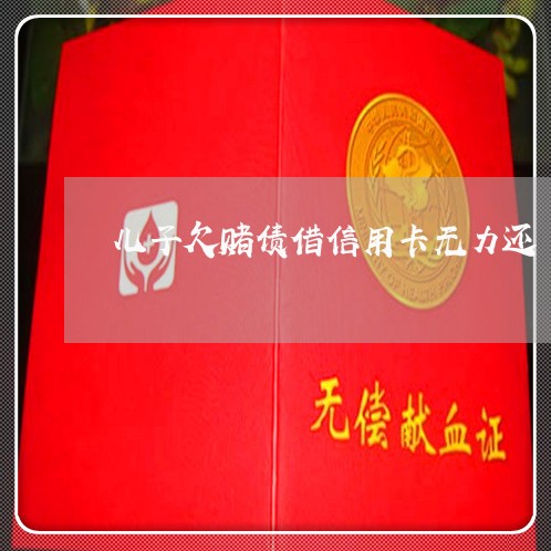 儿子欠赌债借信用卡无力还