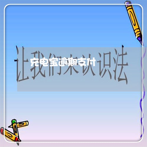 充电宝逾期支付