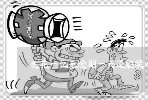 先花一亿元逾期一天还能续吗