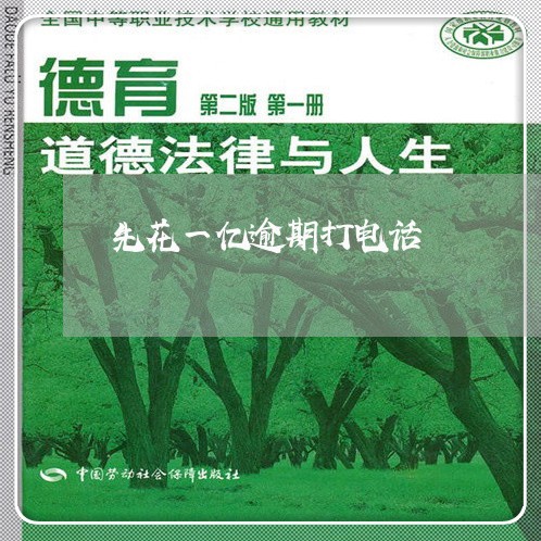 先花一亿逾期打电话