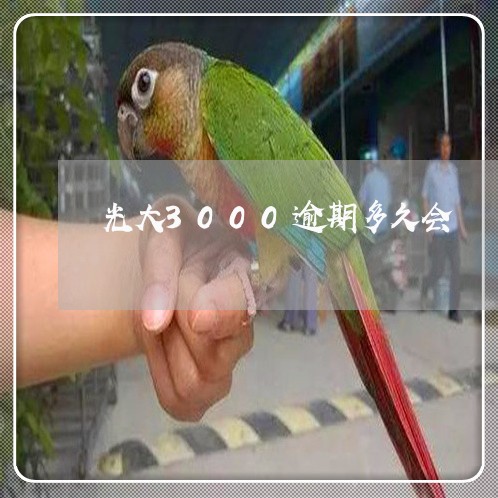 光大3000逾期多久会 光大3000逾期多久会