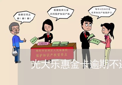 光大乐惠金卡逾期不还/2023102572516