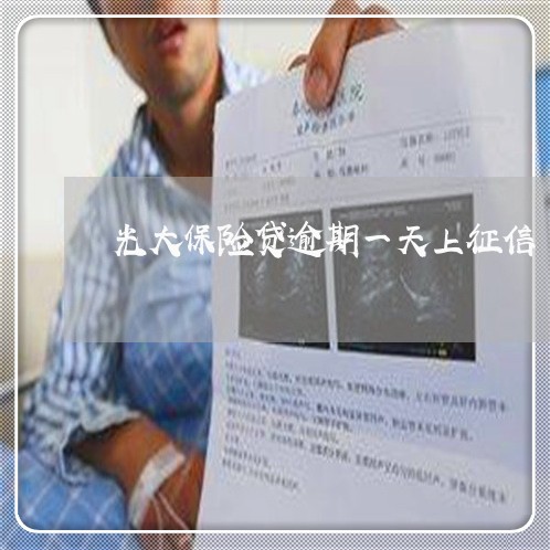 光大保险贷逾期一天上征信/2023060979389