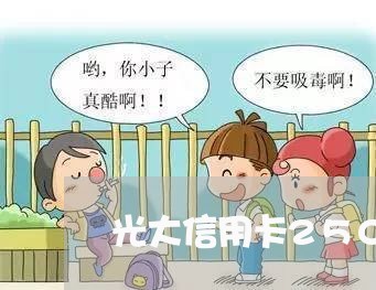 光大信用卡25000分12期