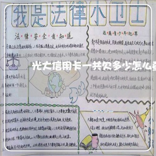 光大信用卡一共欠多少怎么查 光大信用卡一共欠多少怎么查