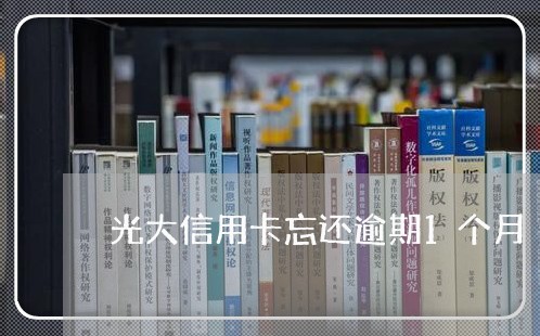 光大信用卡忘还逾期1个月/2023062705861