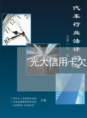 光大信用卡欠10万一年