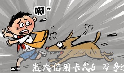 光大信用卡欠8万多逾期2年