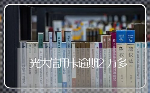 光大信用卡逾期2万多/2023061638248 光大信用卡逾期2万多/2023061638248