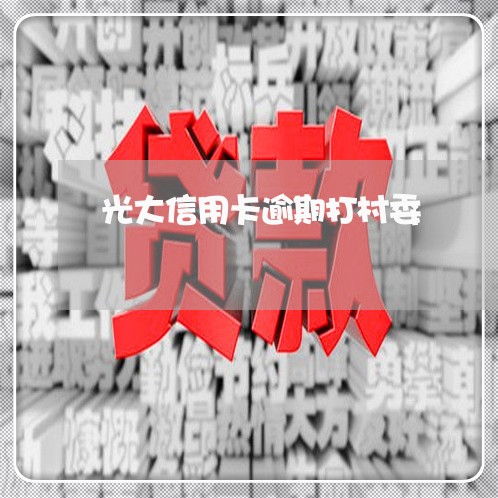 光大信用卡逾期打村委/2023061791808