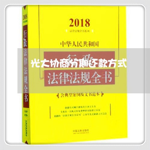 光大协商分期还款方式/2023110762727