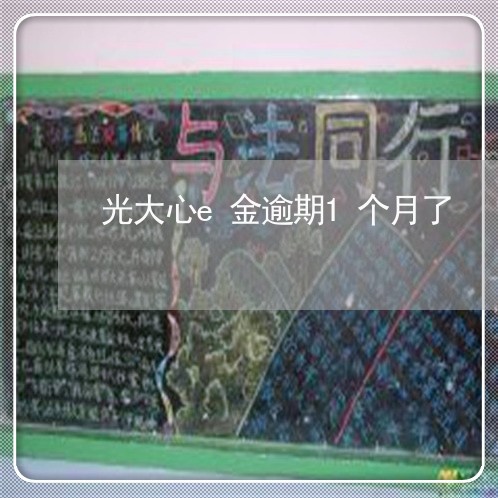 光大心e金逾期1个月了/2023062116059