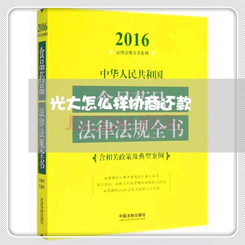 光大怎么样协商还款/2023071036060