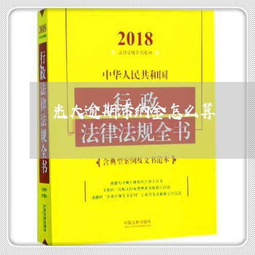 光大逾期滞纳金怎么算/2023032076847