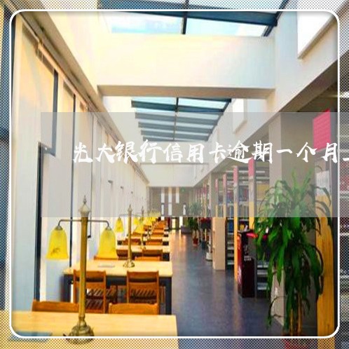 光大银行信用卡逾期一个月上征信 光大银行信用卡逾期一个月上征信