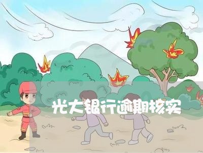 光大银行逾期核实/2023020285936 光大银行逾期核实/2023020285936