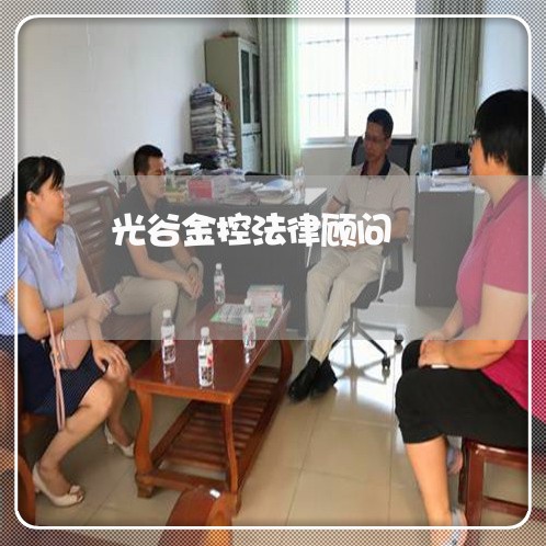 光谷金控法律顾问/2023061770593