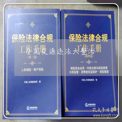 全国交通违法大整治 全国交通违法大整治