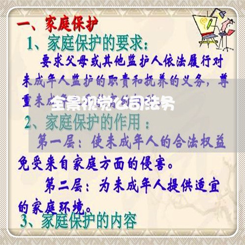 全景视觉公司法务 全景视觉公司法务