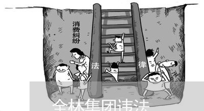 全林集团违法 全林集团违法