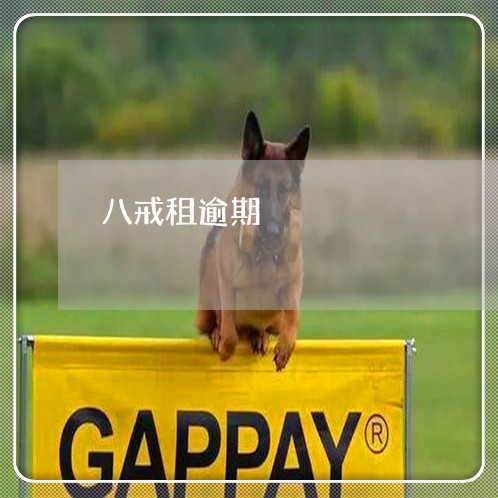 八戒租逾期 八戒租逾期