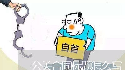 公关合同标题怎么写/2023040180826