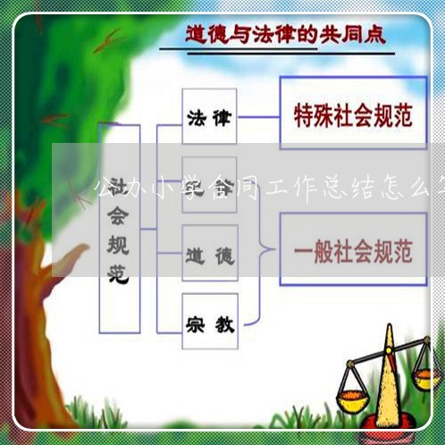 公办小学合同工作总结怎么写/2023061784048