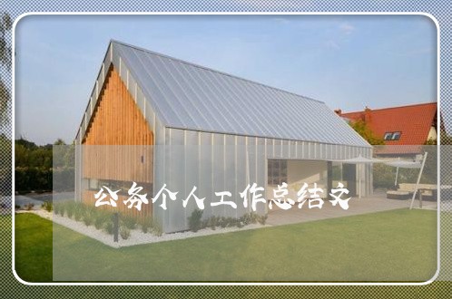 公务个人工作总结文