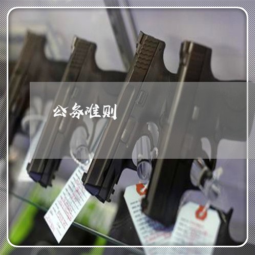公务准则