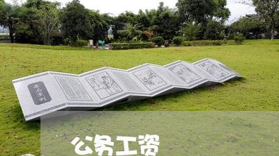 公务工资