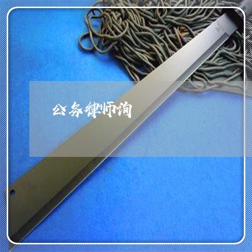 公务律师询