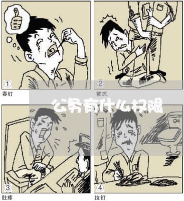 公务有什么权限
