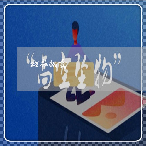 公务权责