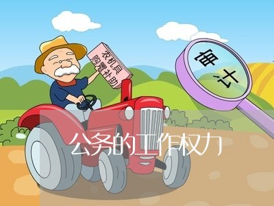公务的工作权力