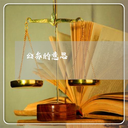 公务的意思 公务的意思