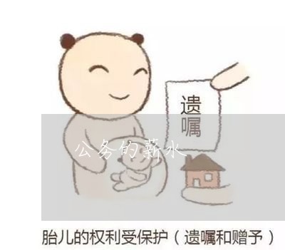 公务的薪水