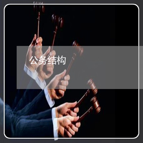 公务结构