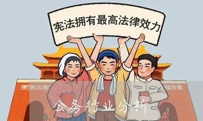 公务行业分析