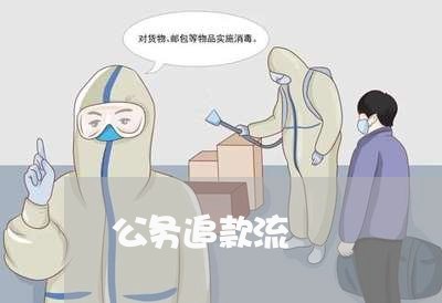 公务追款流