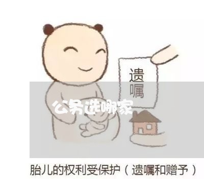 公务选哪家
