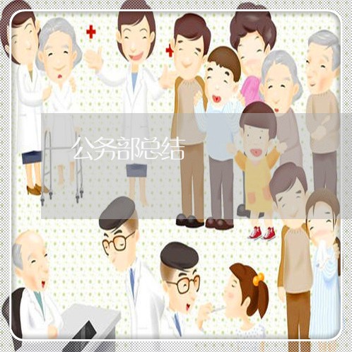 公务部总结 公务部总结