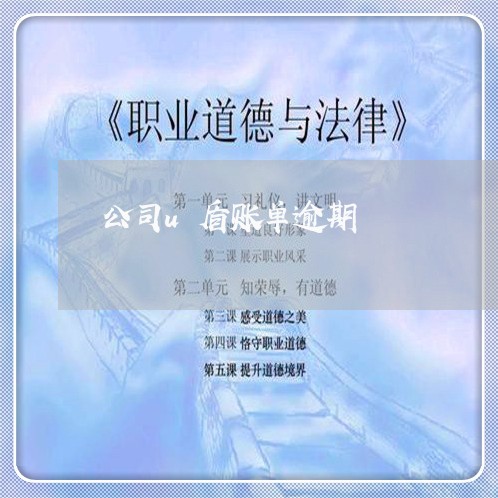 公司u盾账单逾期