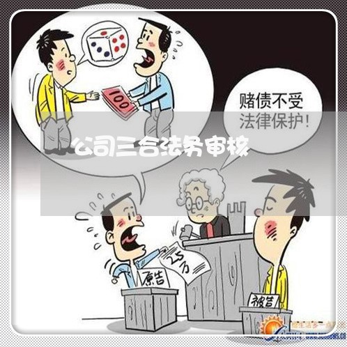 公司三合法务审核 公司三合法务审核