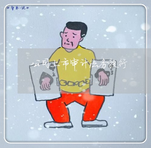 公司上市审计法务投行 公司上市审计法务投行