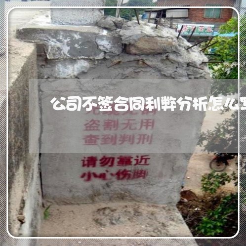 公司不签合同利弊分析怎么写/2023041747370 公司不签合同利弊分析怎么写/2023041747370