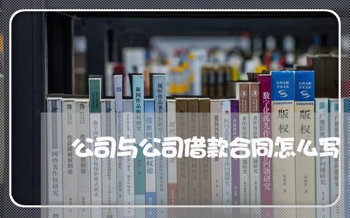 公司与公司借款合同怎么写/2023040315938