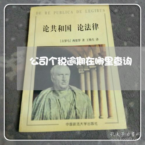 公司个税逾期在哪里查询