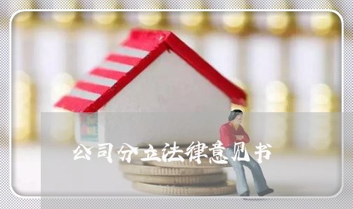 公司分立法律意见书 公司分立法律意见书